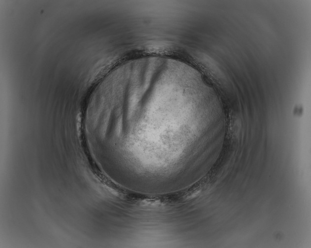 X0000090630502200707311308