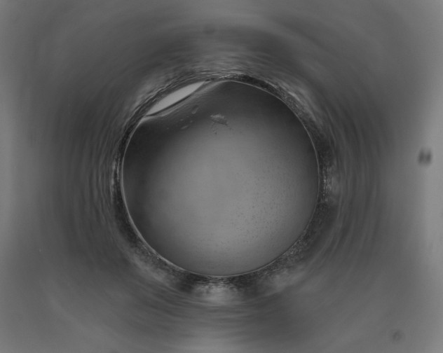 X0000090630503200707311308
