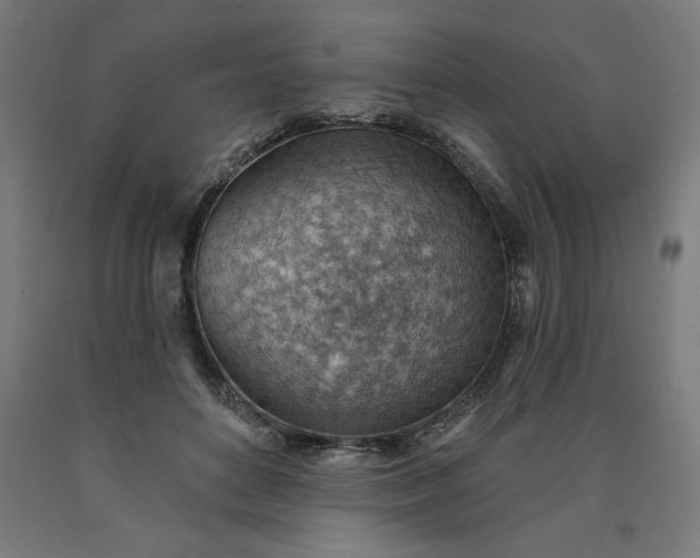 X0000090630504200707311308