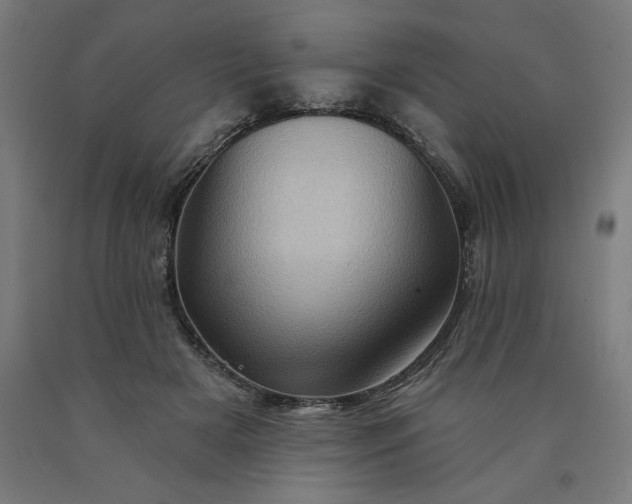 X0000090630505200707311308