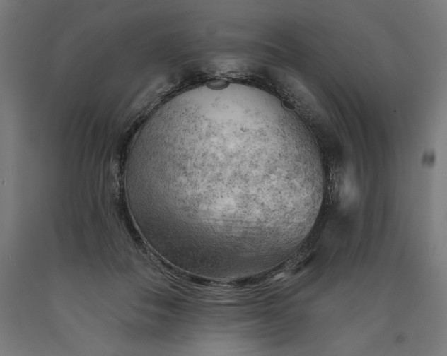 X0000090630506200707311308