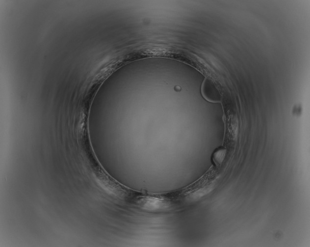 X0000090630507200707311308