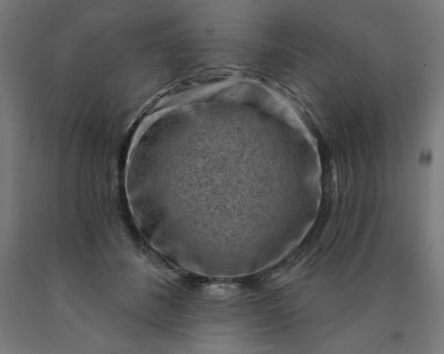 X0000090630508200707311308