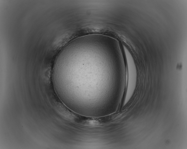 X0000090630509200707311308