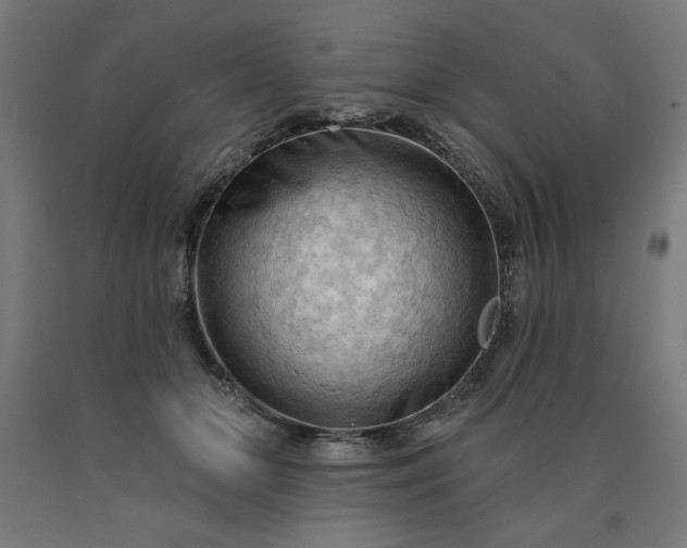 X0000090630510200707311308