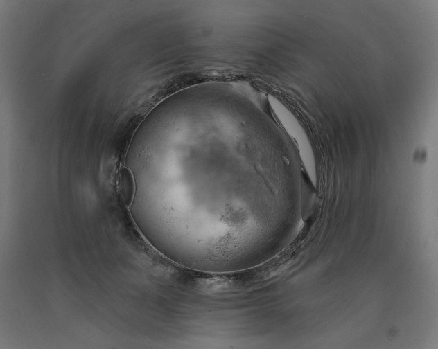 X0000090630511200707311308