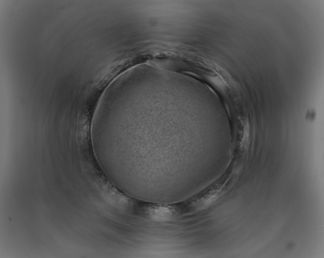 X0000090630513200707311308