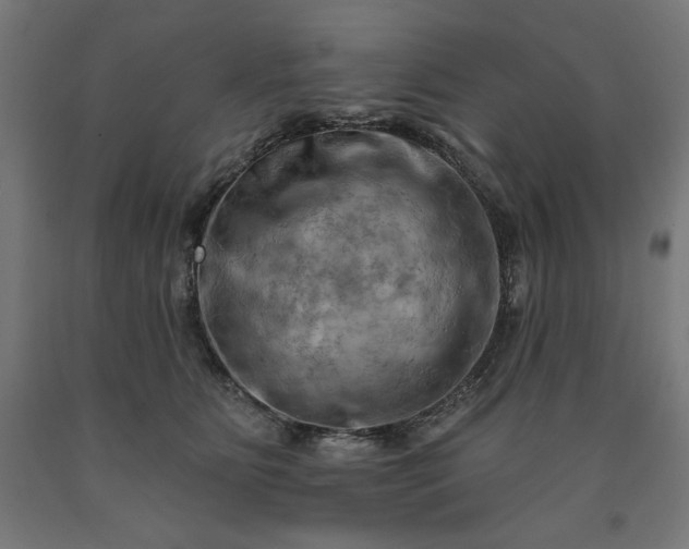 X0000090630515200707311308