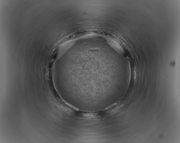 X0000090630516200707311308