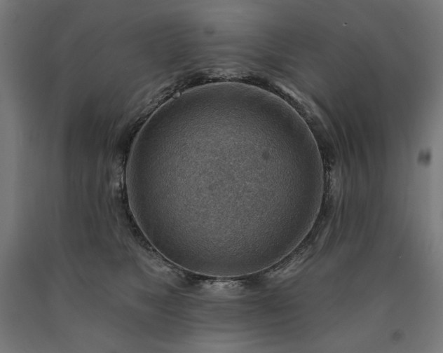 X0000090630517200707311308