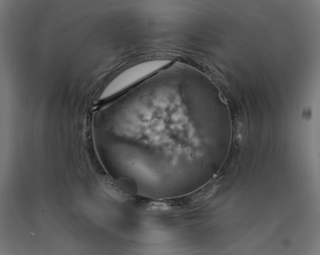 X0000090630519200707311308