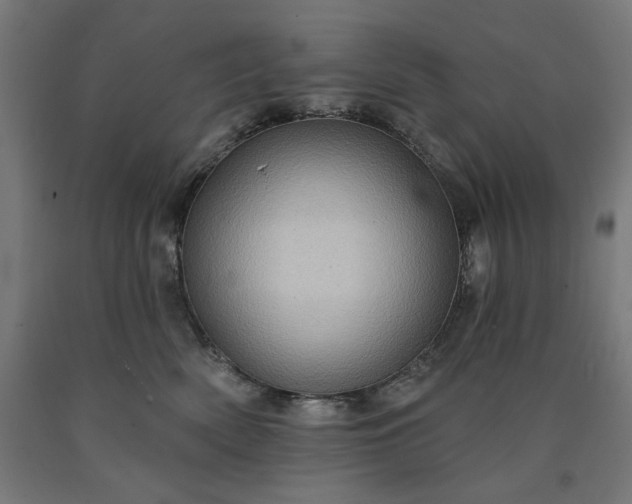 X0000090630522200707311308