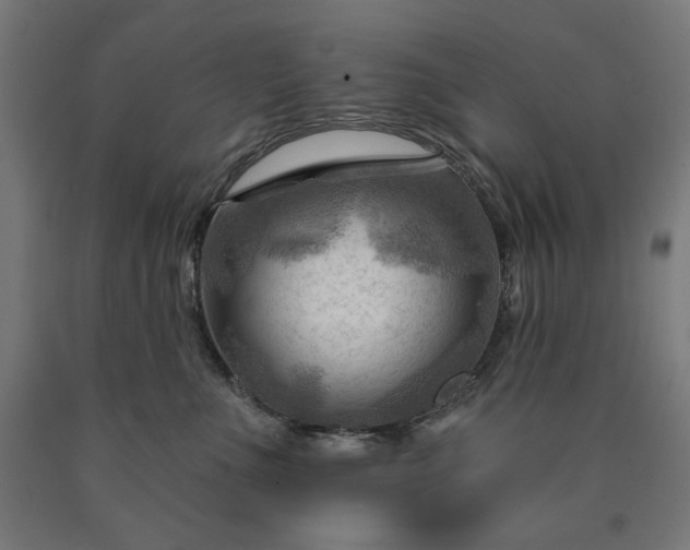 X0000090630523200707311308