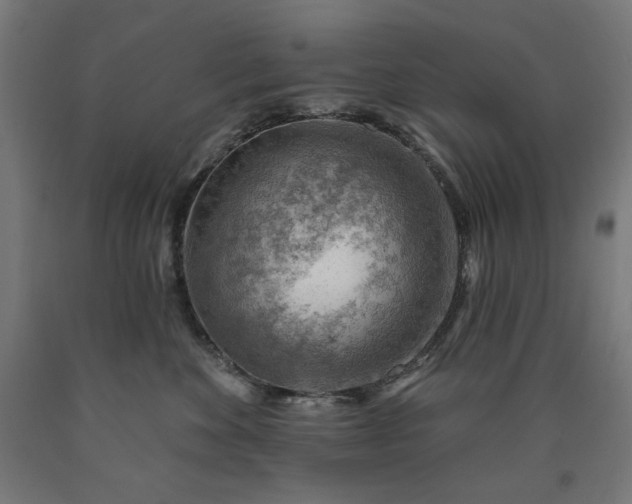 X0000090630524200707311308