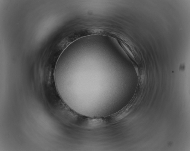 X0000090630525200707311308