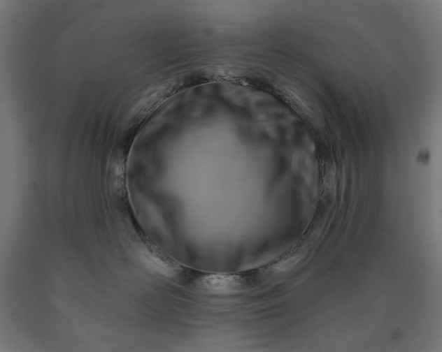 X0000090630526200707311308