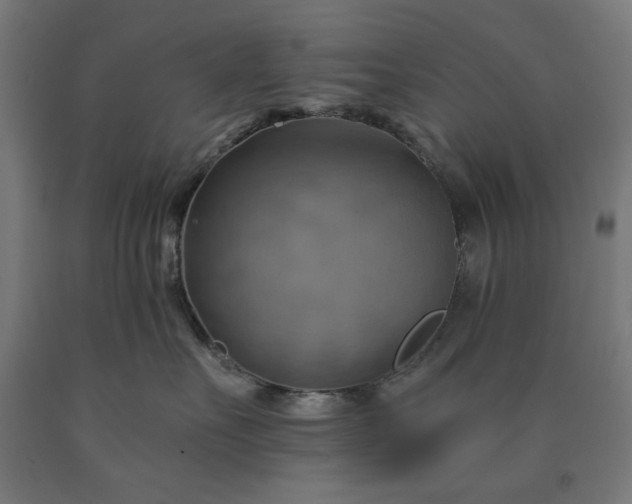 X0000090630527200707311308
