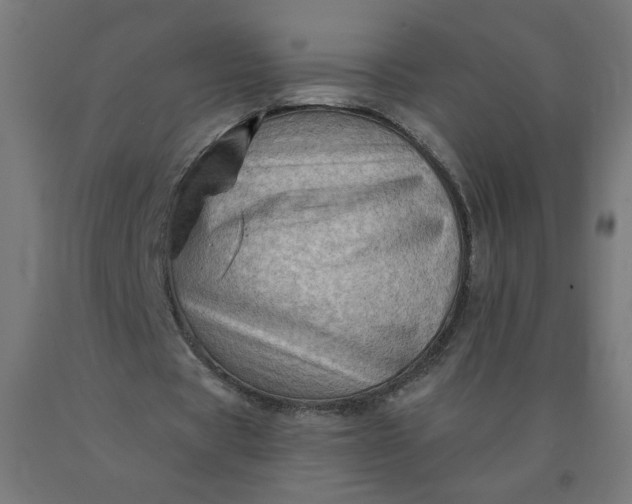 X0000090630529200707311307