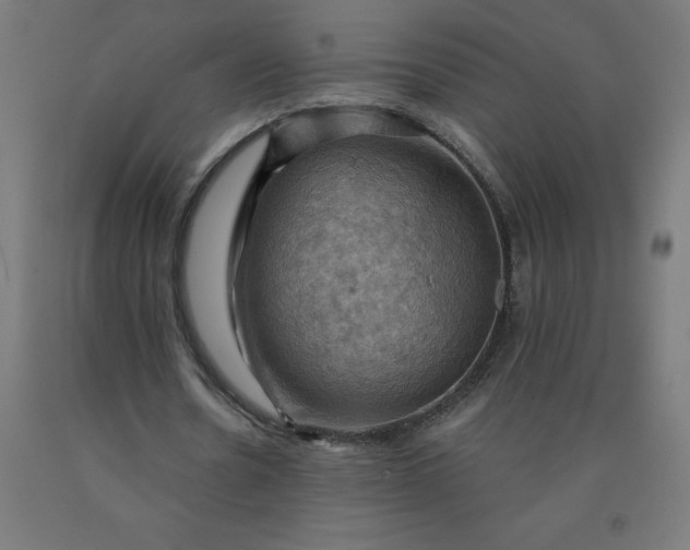 X0000090630530200707311307
