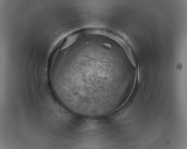 X0000090630531200707311307