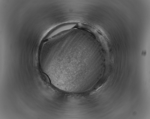 X0000090630532200707311307