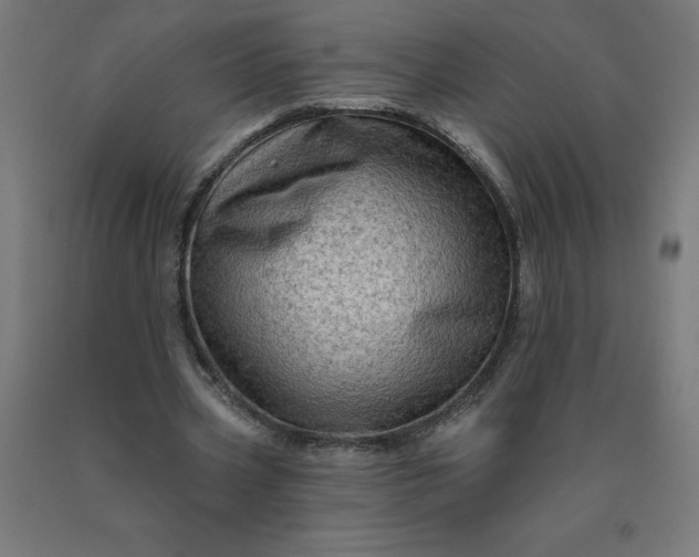 X0000090630533200707311307