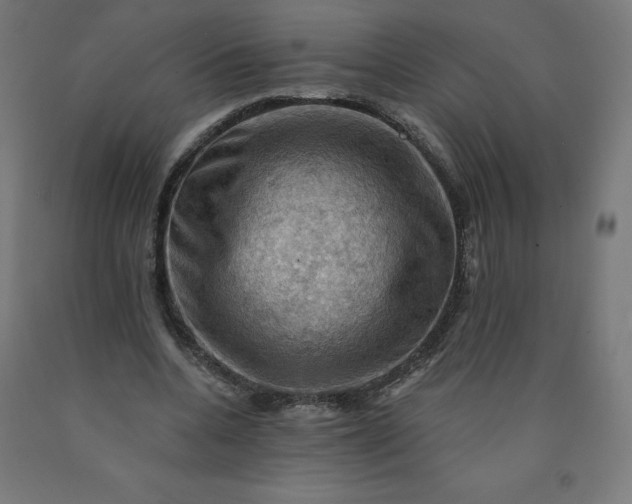 X0000090630536200707311307