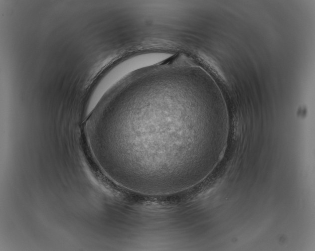 X0000090630538200707311307
