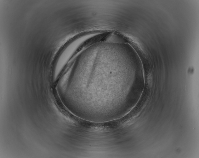 X0000090630540200707311307