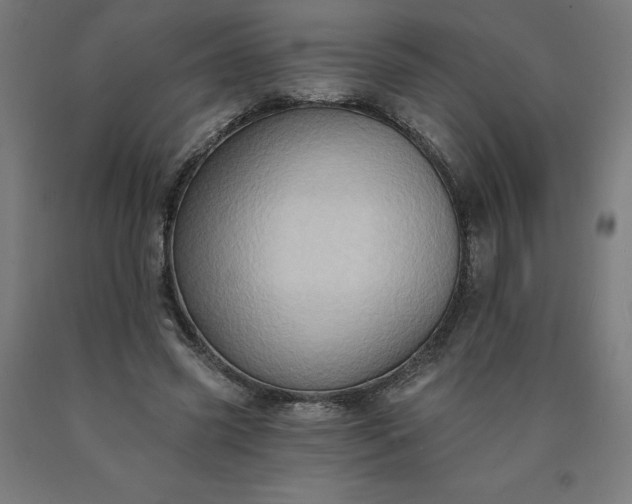 X0000090630541200707311307