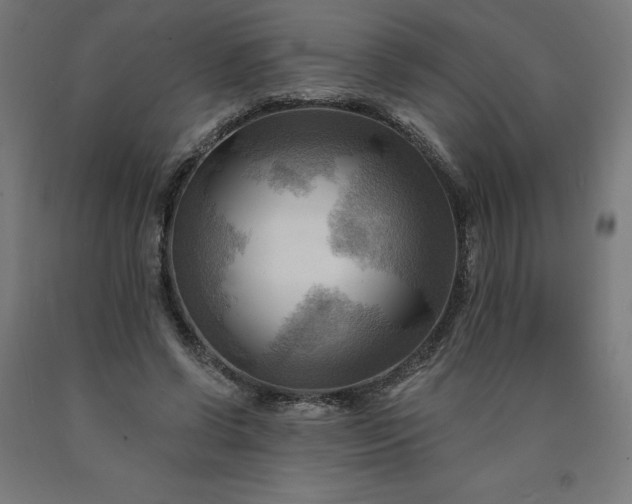 X0000090630542200707311307