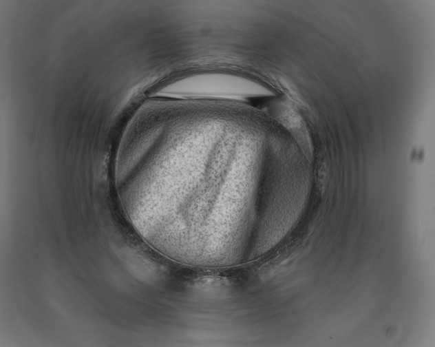 X0000090630543200707311307