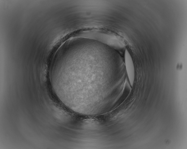 X0000090630544200707311307