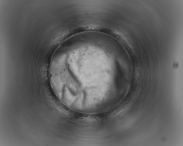 X0000090630545200707311307