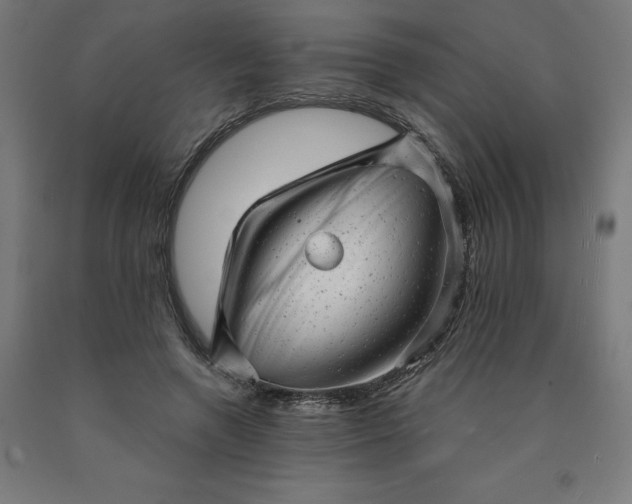 X0000090630546200707311307