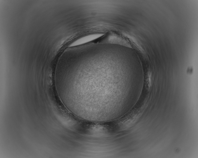 X0000090630547200707311307
