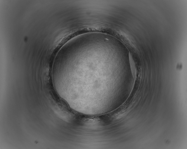 X0000090630548200707311307