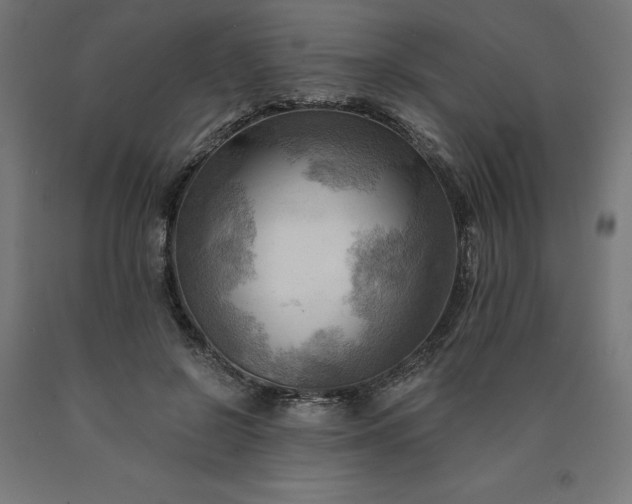 X0000090630550200707311307