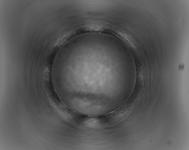 X0000090630551200707311307
