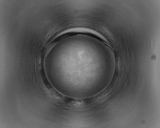 X0000090630552200707311307