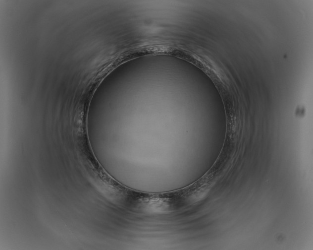 X0000090630553200707311307
