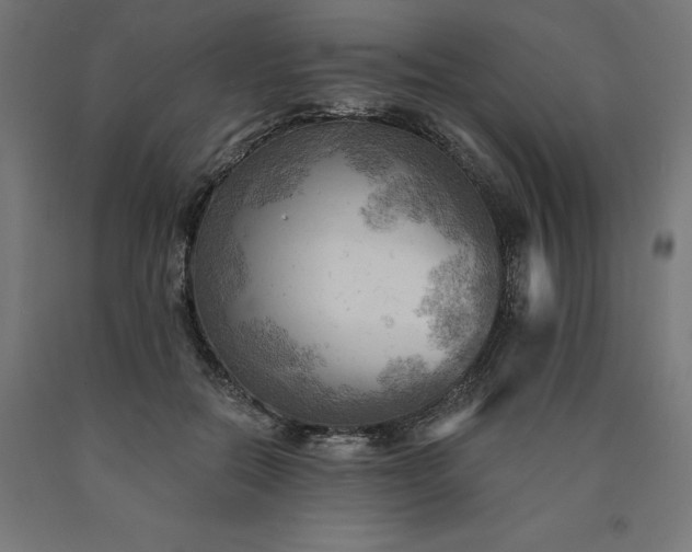 X0000090630554200707311307