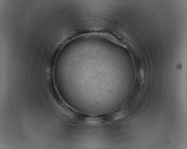 X0000090630556200707311308