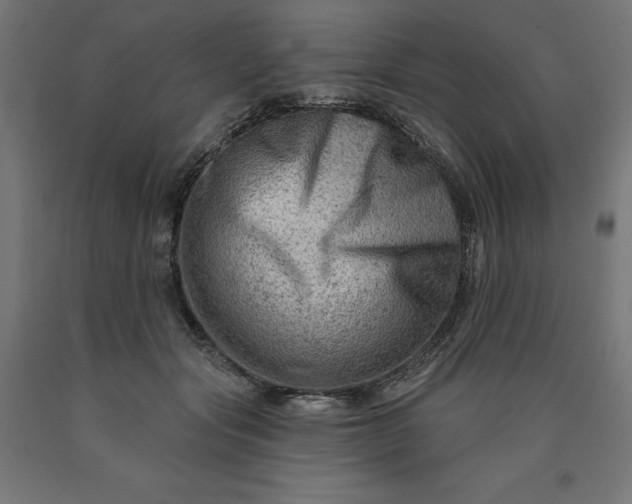 X0000090630557200707311308