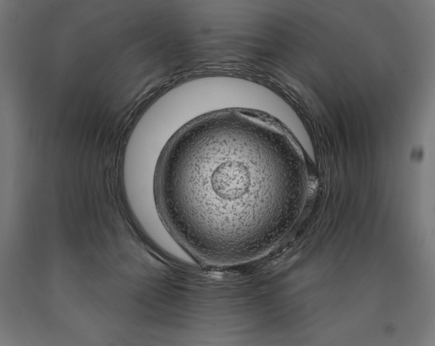 X0000090630558200707311308