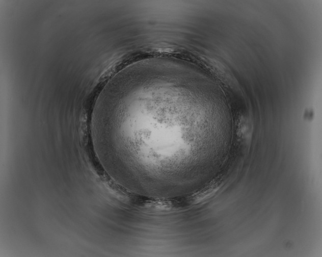 X0000090630559200707311308