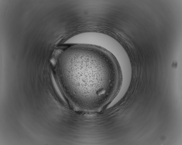 X0000090630560200707311308