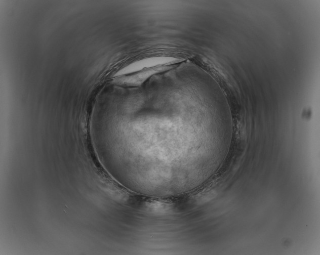 X0000090630561200707311308