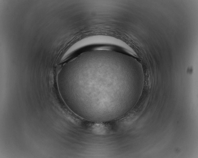 X0000090630562200707311308