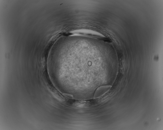 X0000090630563200707311308